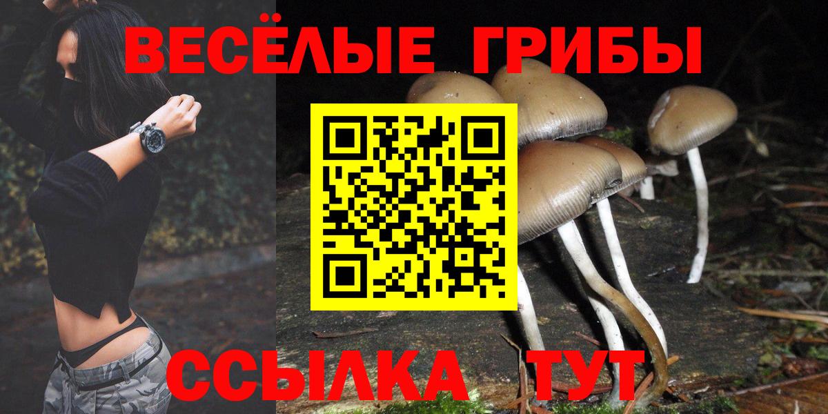 Псилоцибиновые грибы Psilocybe Ипатово