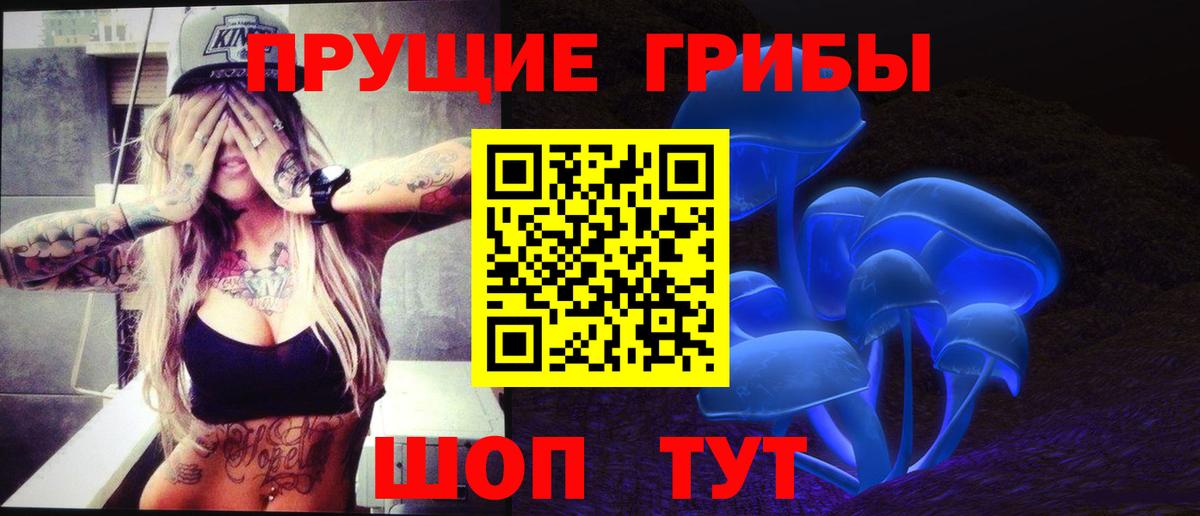 Ипатово  Псилоцибиновые грибы MAGIC MUSHROOMS  Вход с VPN  Псилоцибиновые грибы MAGIC MUSHROOMS 